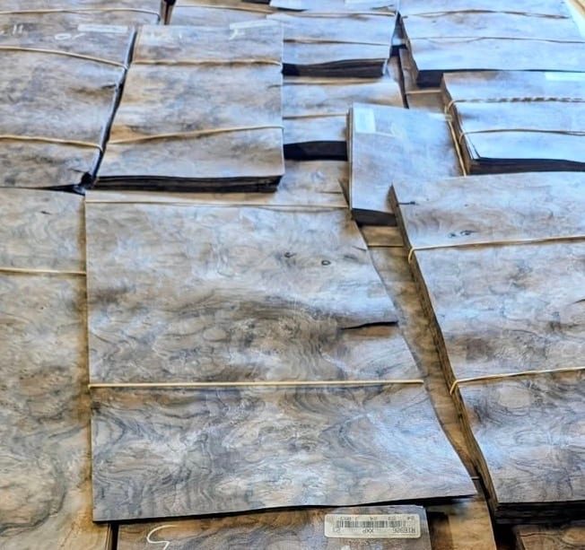 A large walnut burl cut into several sequential flitches, each holding around 24 sheets