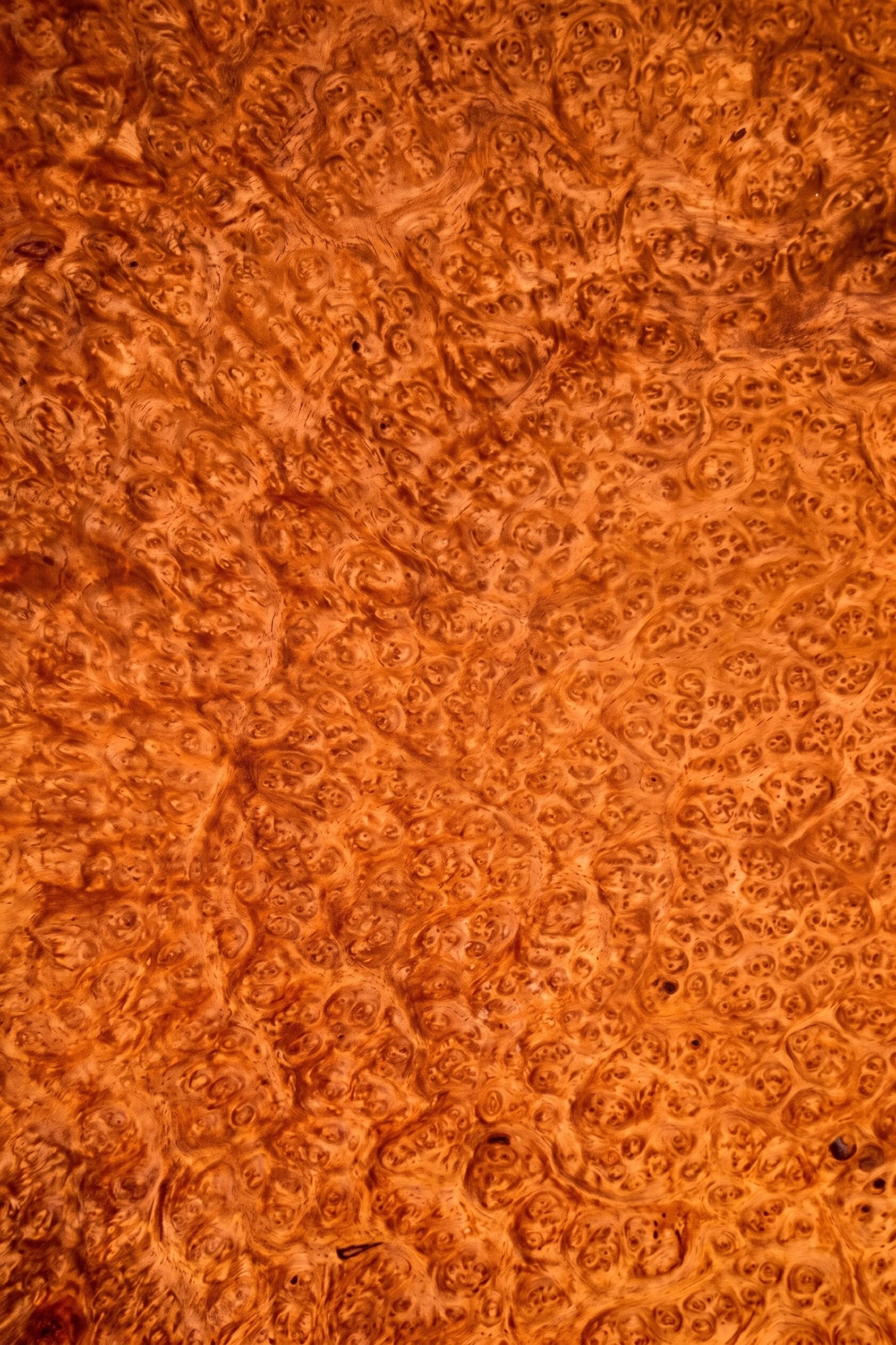 Amboyna Burl veneer
