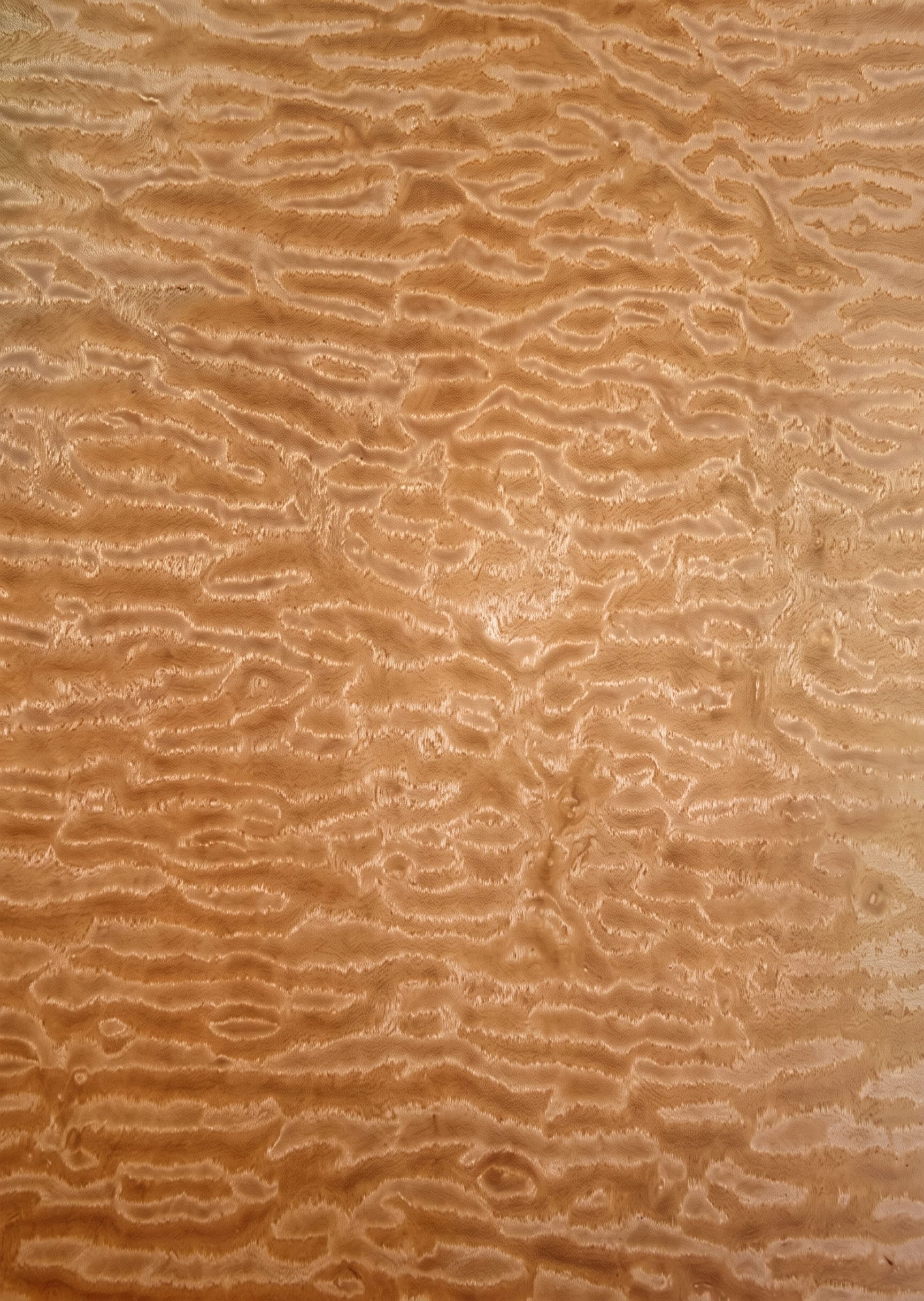 A sheet of Bosse Pomelle veneer