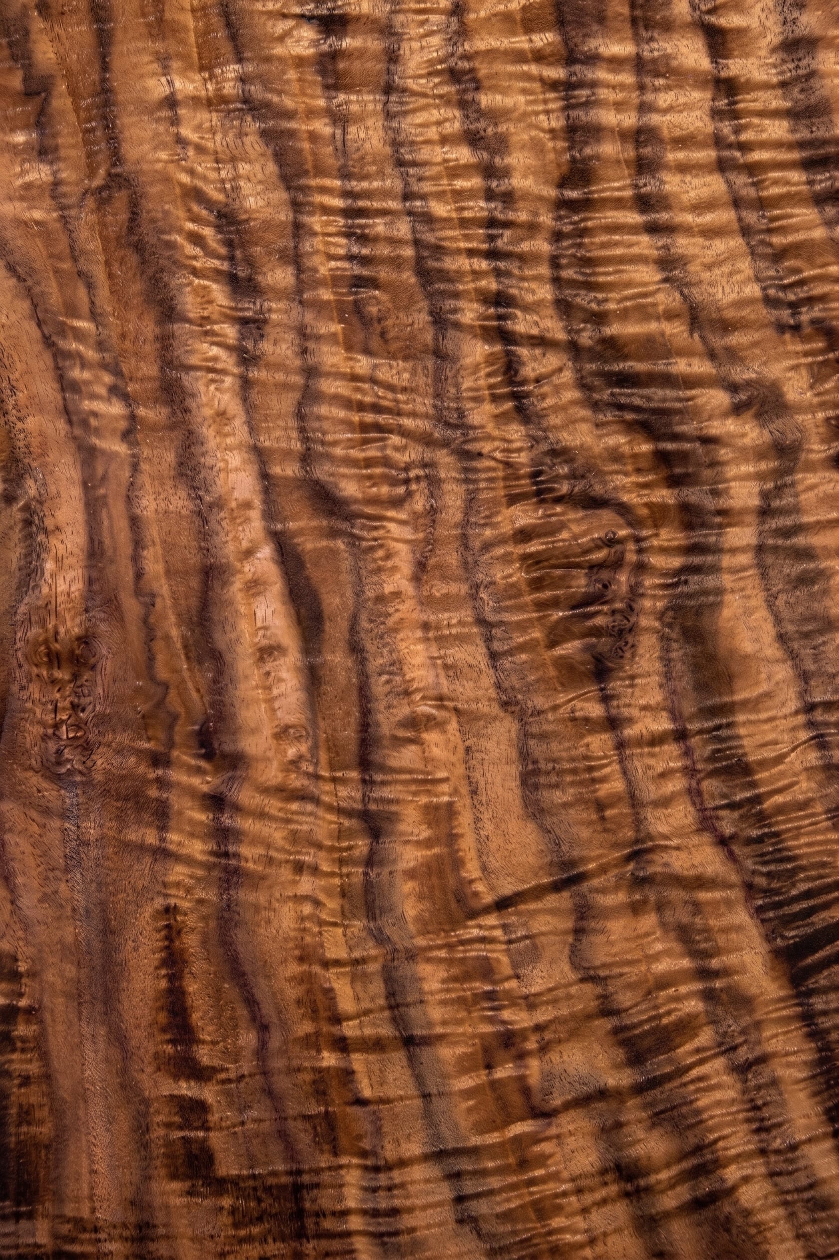 A sheet of Claro Walnut veneer