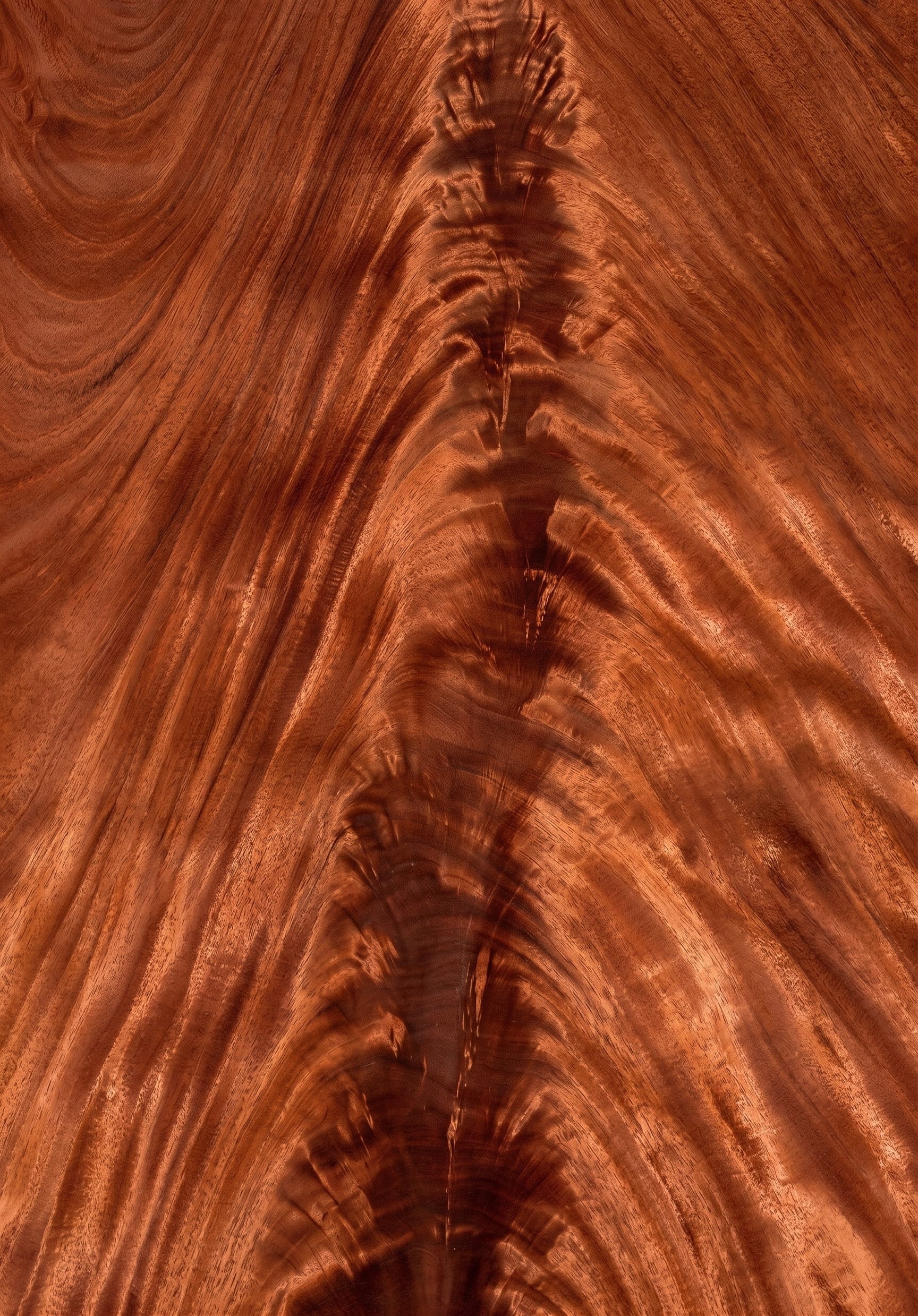 A sheet of Crotch Mahogany veneer