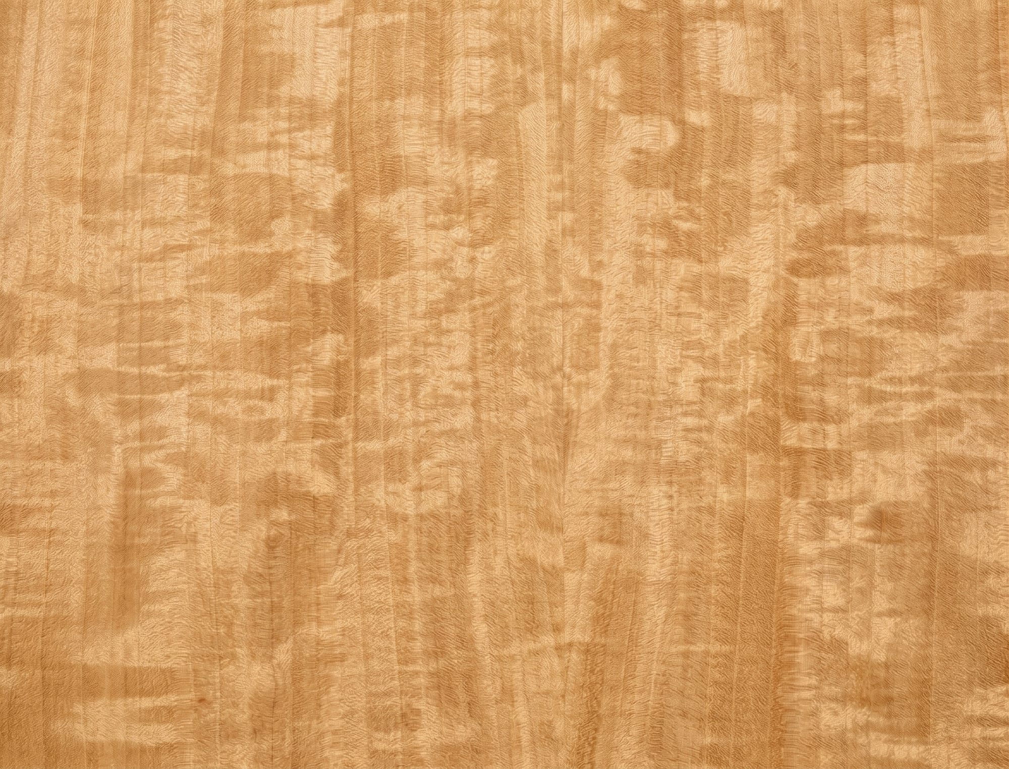 Curly Anigre veneer