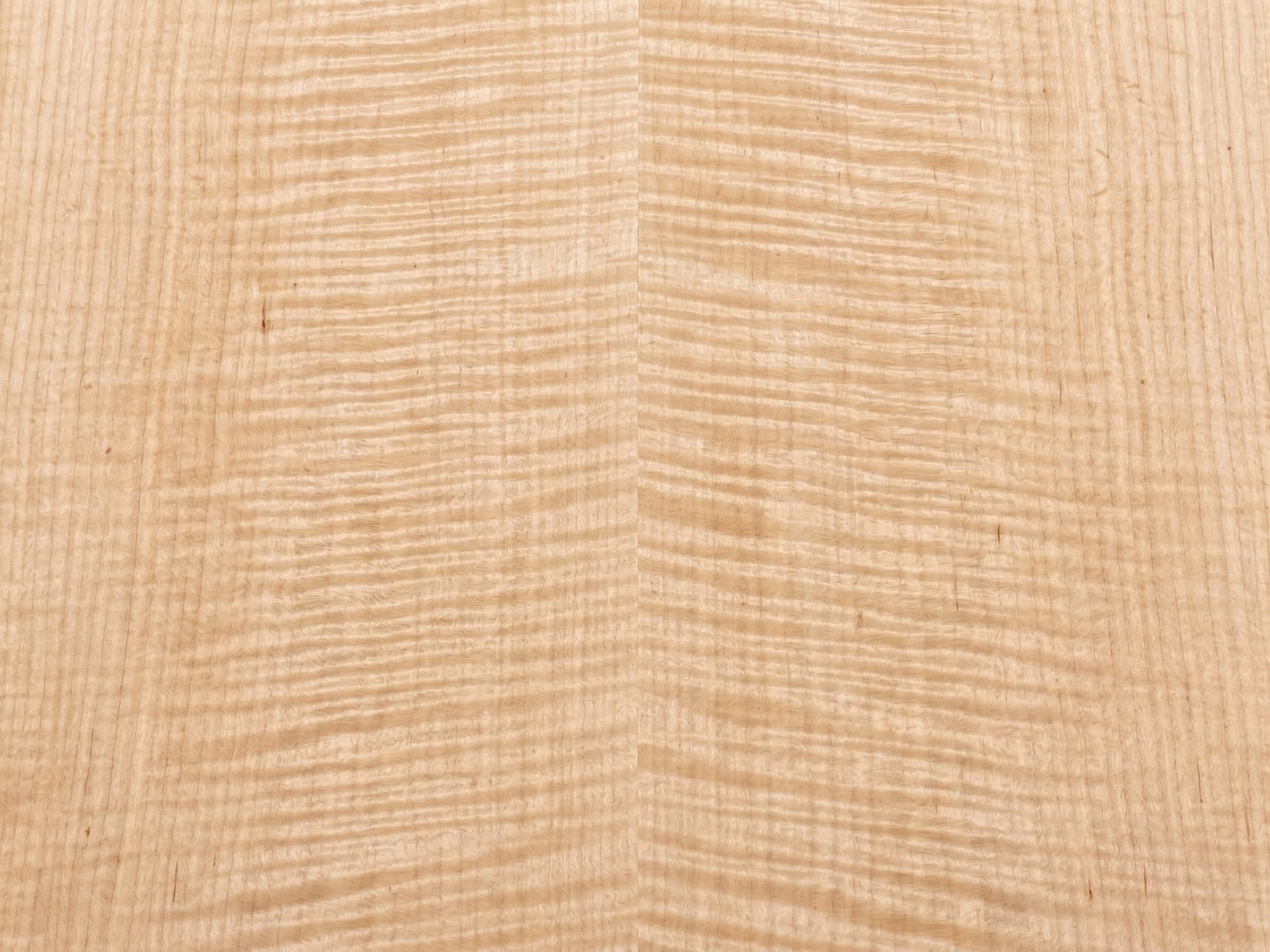 A sheet of Curly English Sycamore veneer