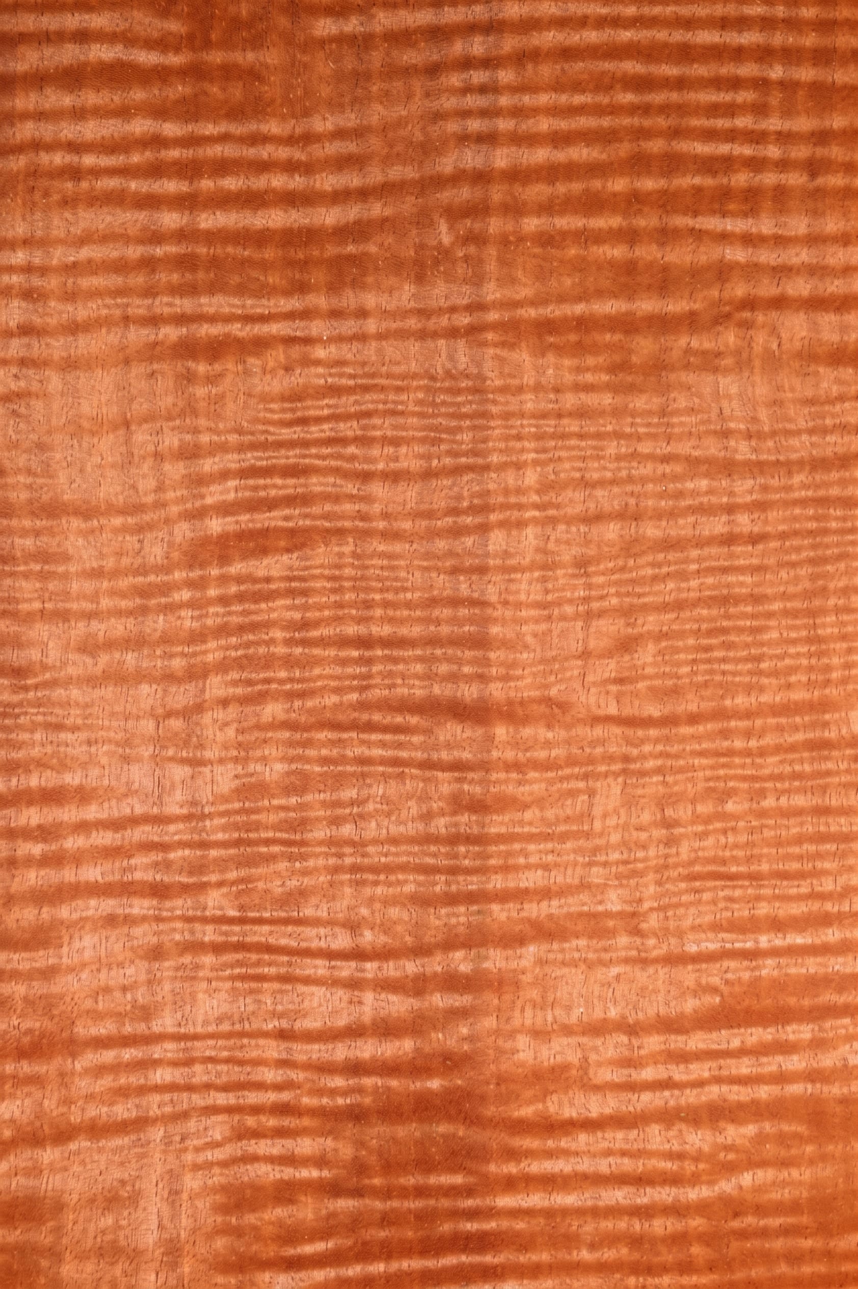 A sheet of Curly Makore veneer