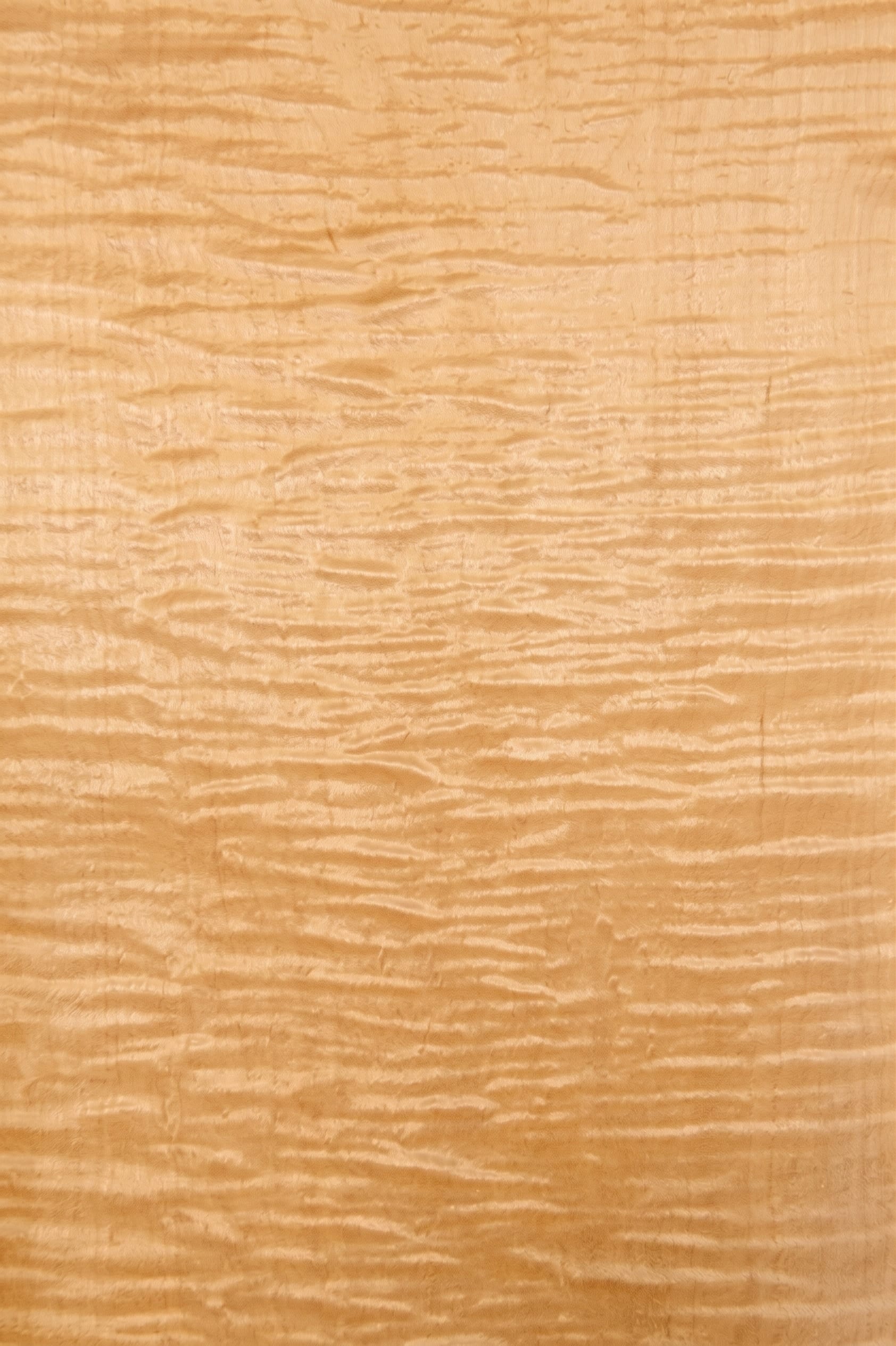 A sheet of Curly Maple veneer