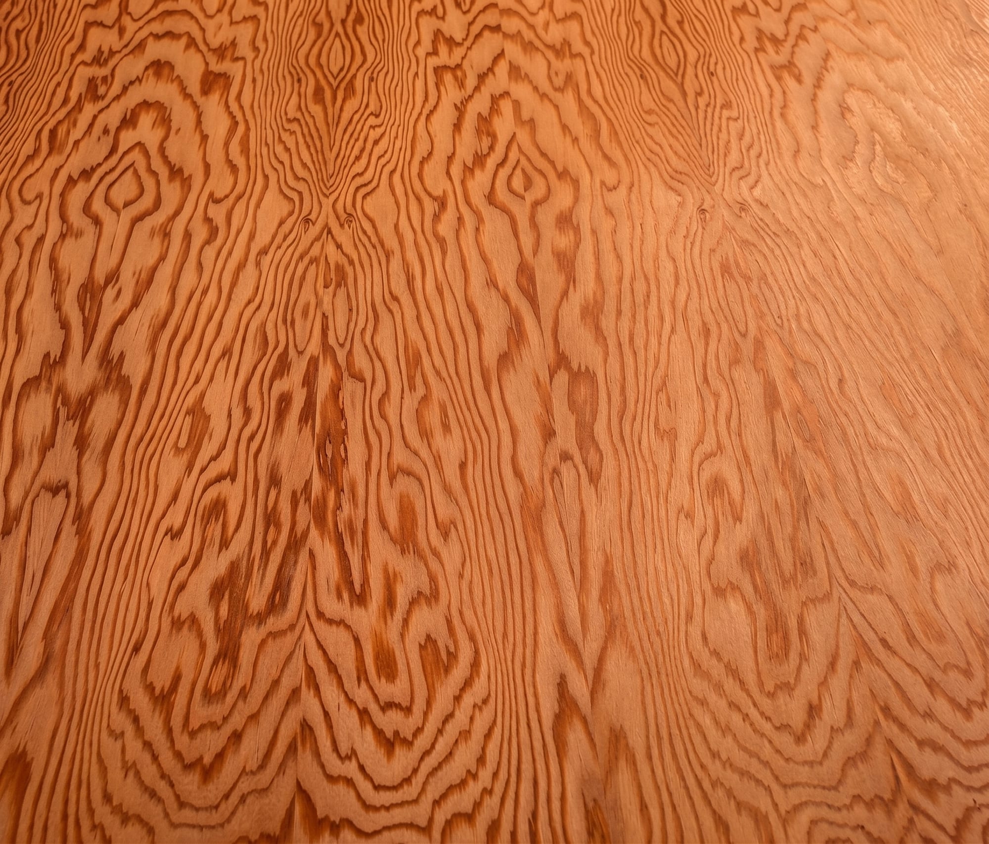 A sheet of Douglas Fir veneer