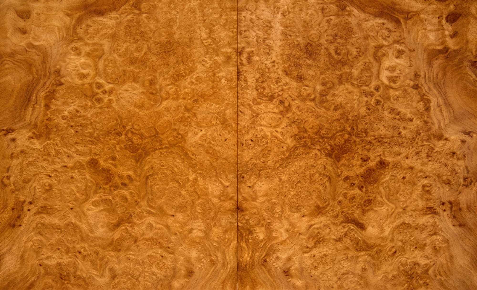 A sheet of English Harewood Burl veneer