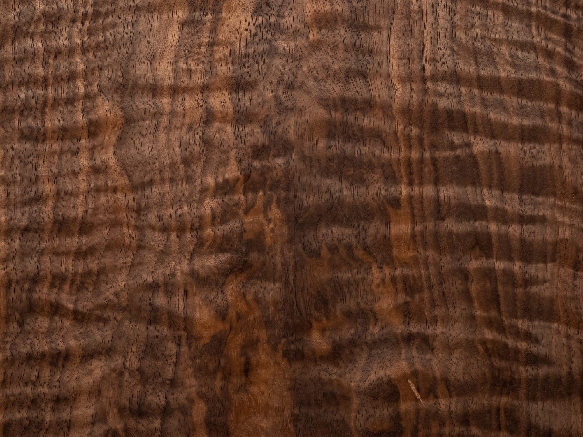 A sheet of French Walnut veneer