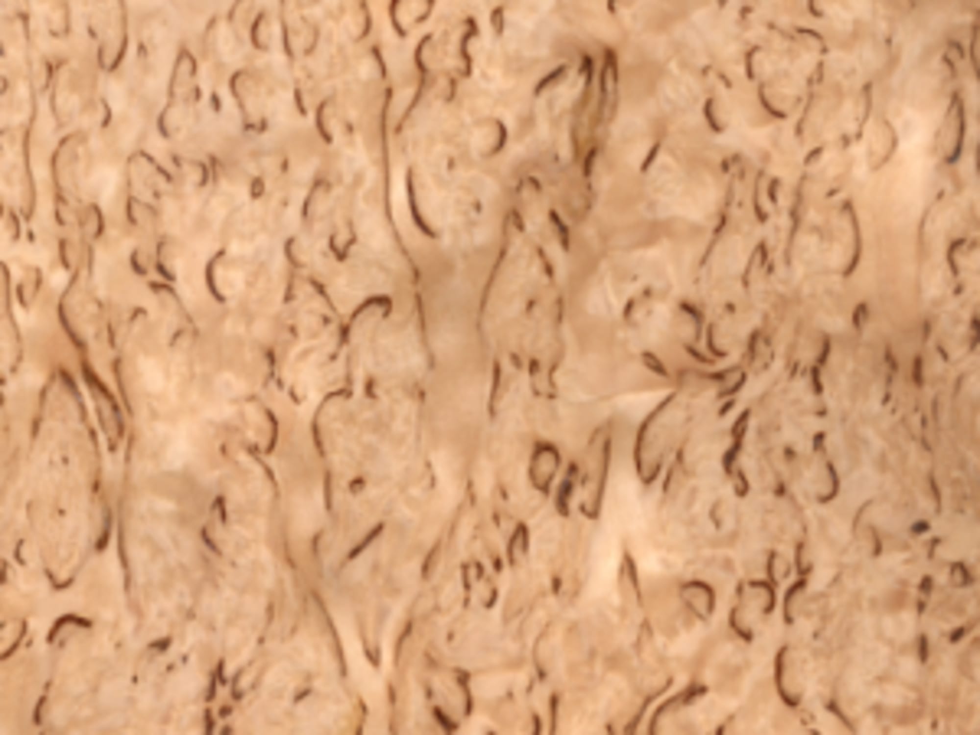 A sheet of Karelian Birch Burl veneer
