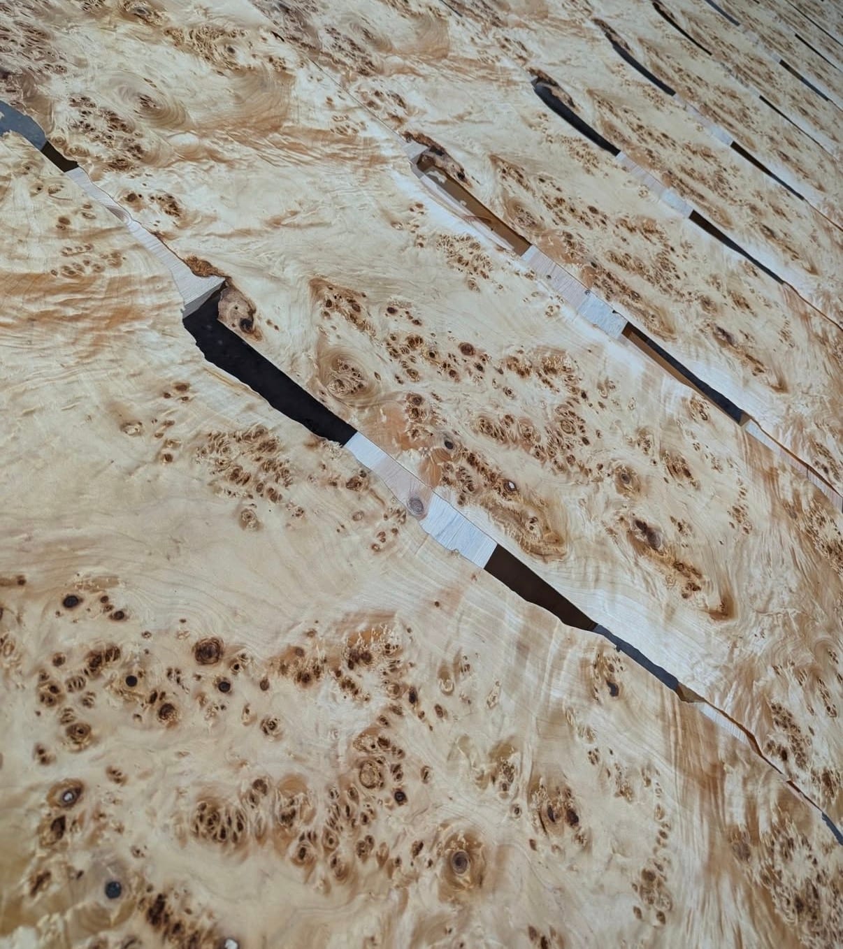 A sheet of Mappa Burl veneer