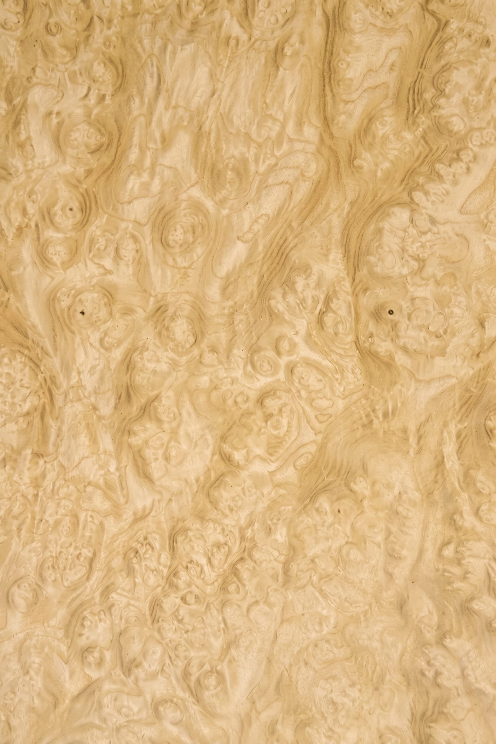 A sheet of Olive Ash Burl veneer