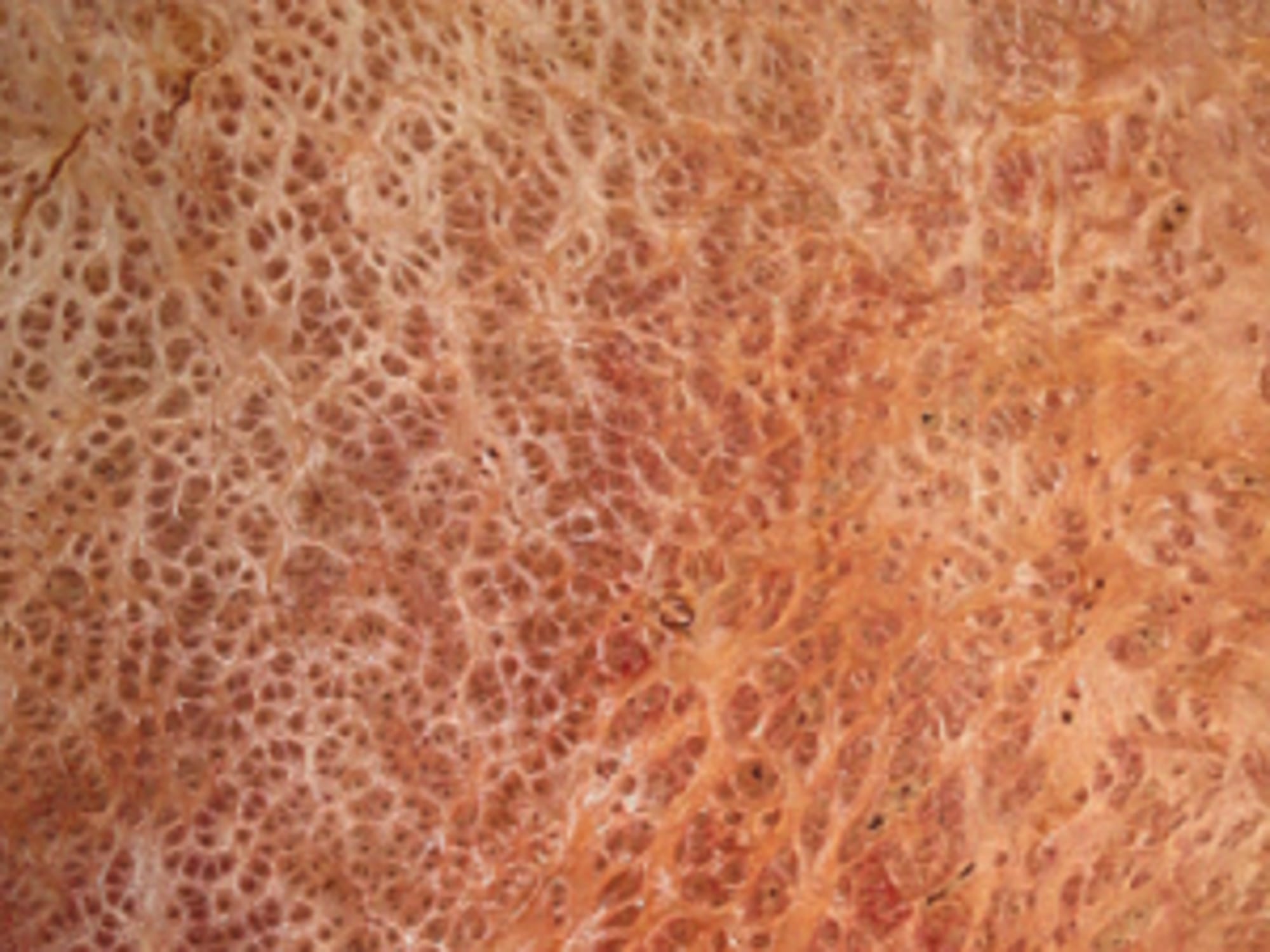 A sheet of Redwood Burl veneer