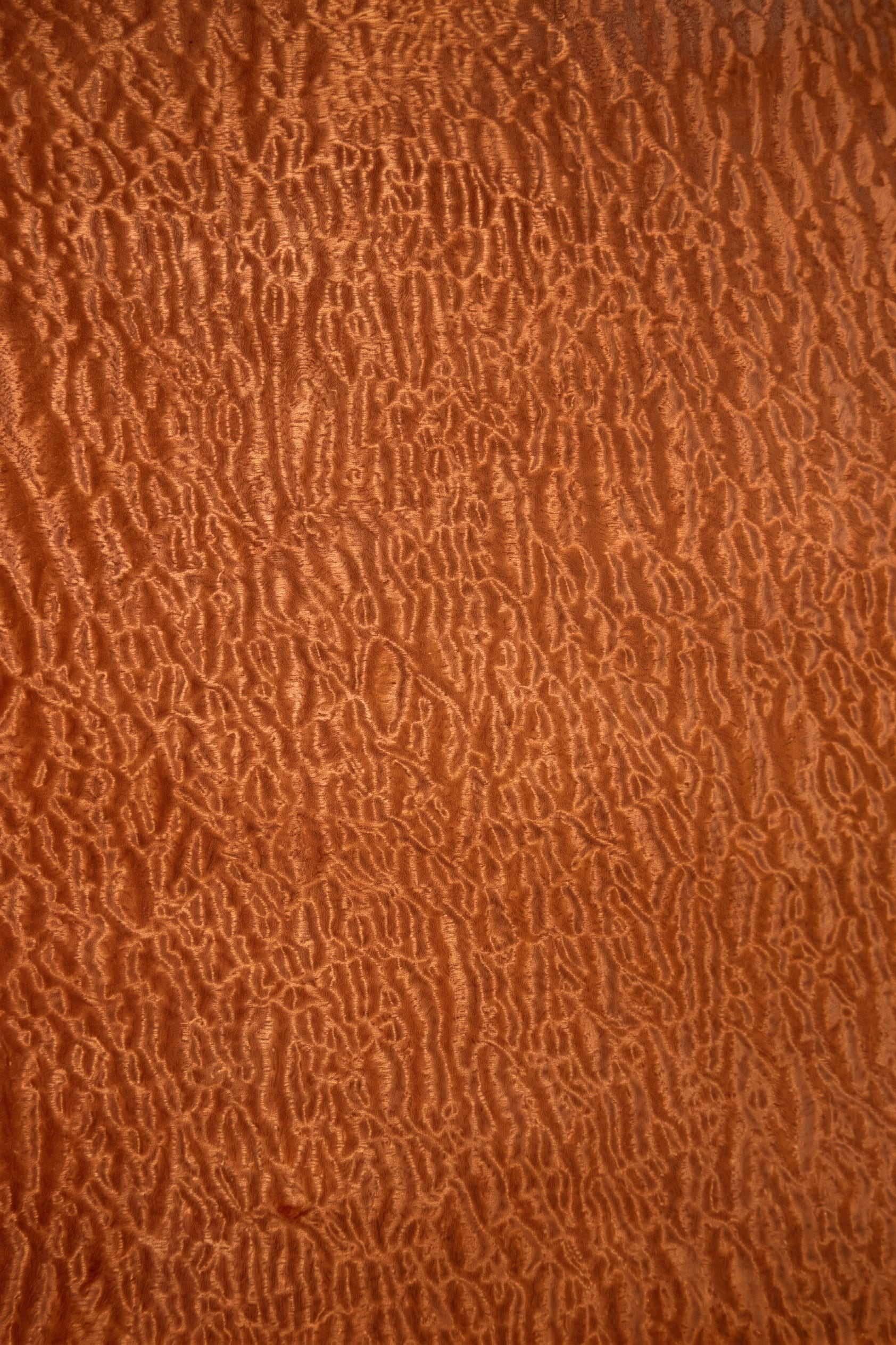 A sheet of Sapele Pomelle veneer