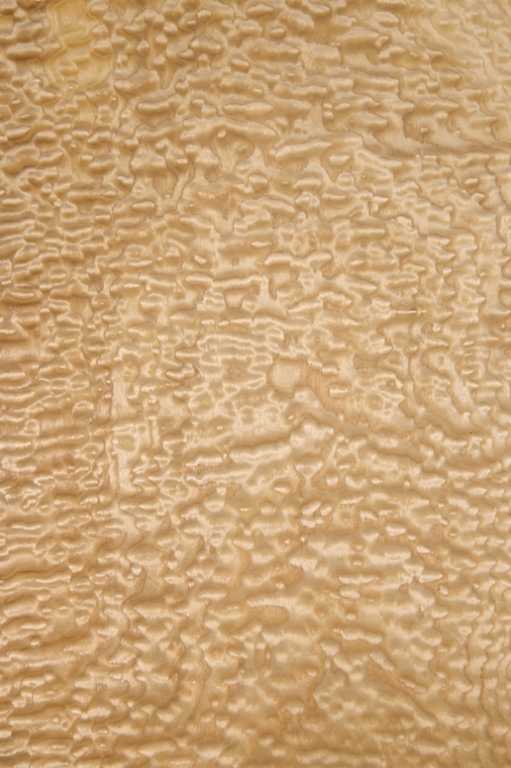 A sheet of Tamo Ash veneer