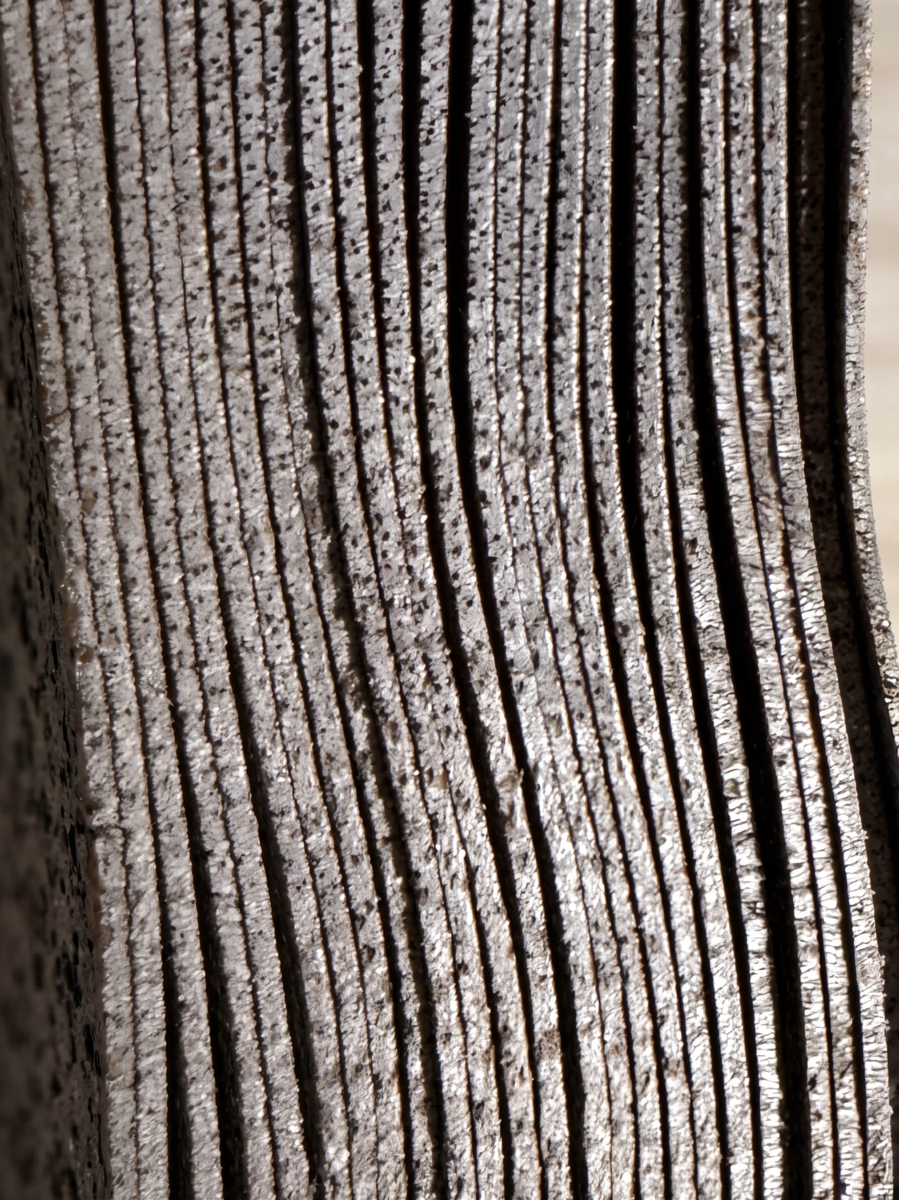 A sheet of Walnut Claro Burl veneer