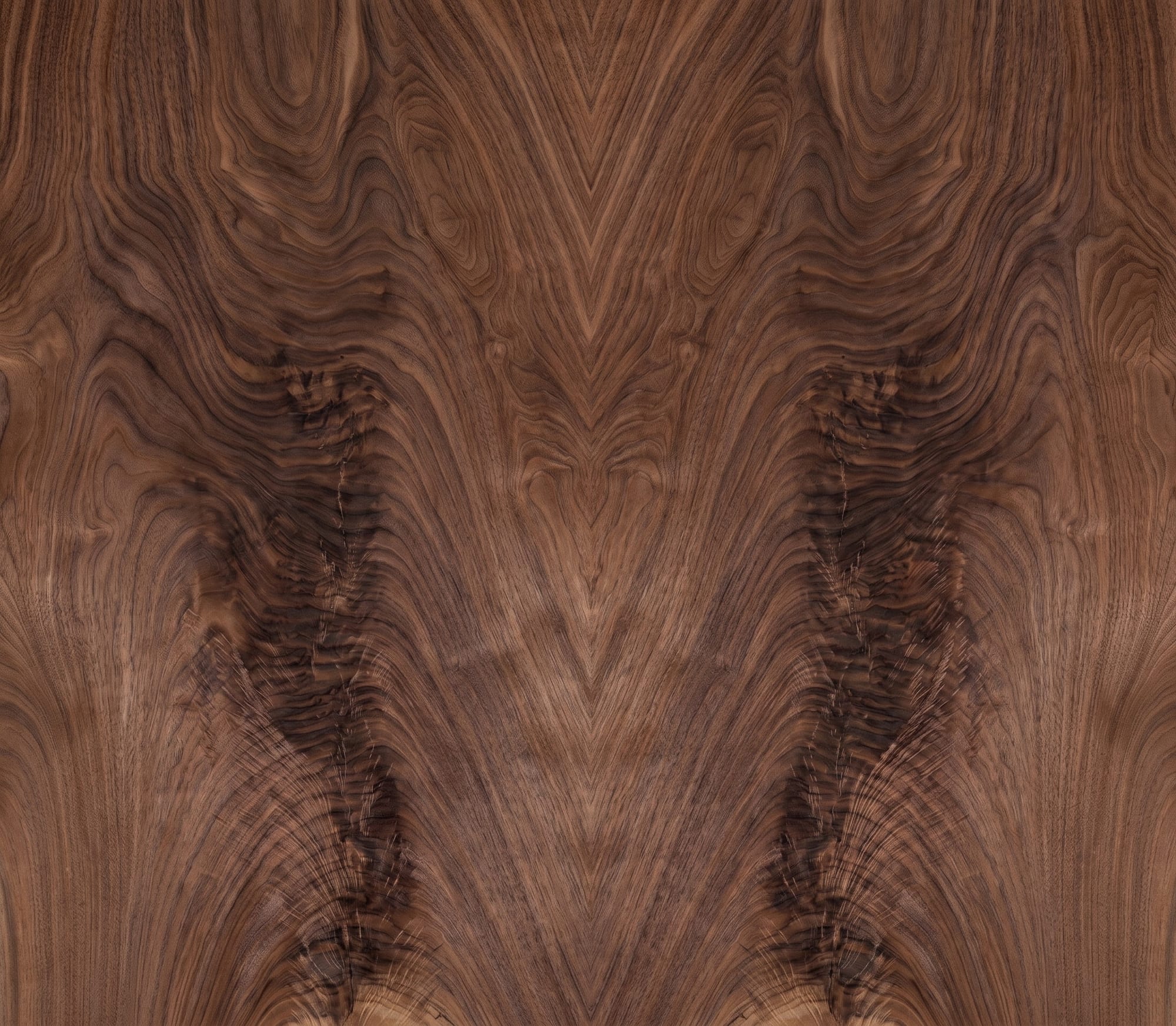 A sheet of Walnut Crotch veneer